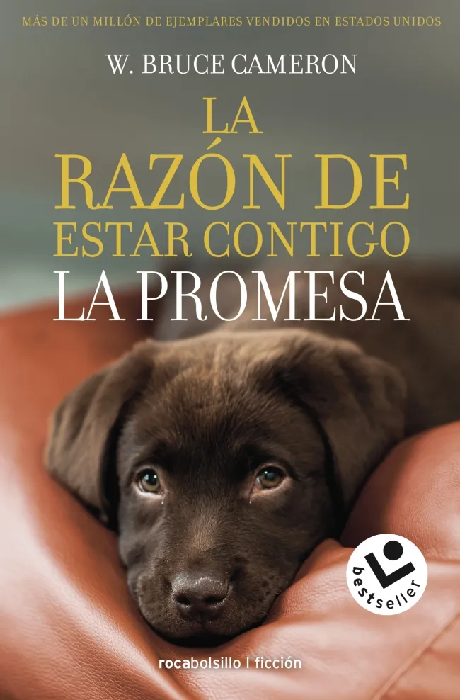 RAZON DE ESTAR CONTIGO, LA -BUTXACA-