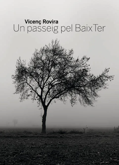 PASSEIG PEL BAIX TER, UN