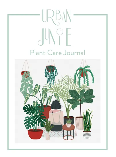 URBAN JUNGLE