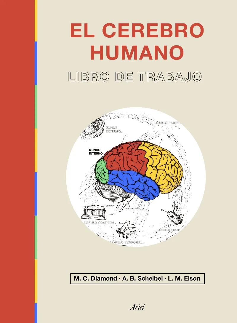 CEREBRO HUMANO, EL -LIBRO DE TRABAJO-