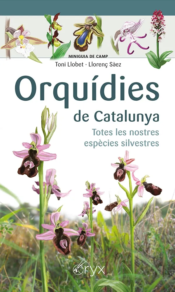 ORQUIDIES DE CATALUNYA