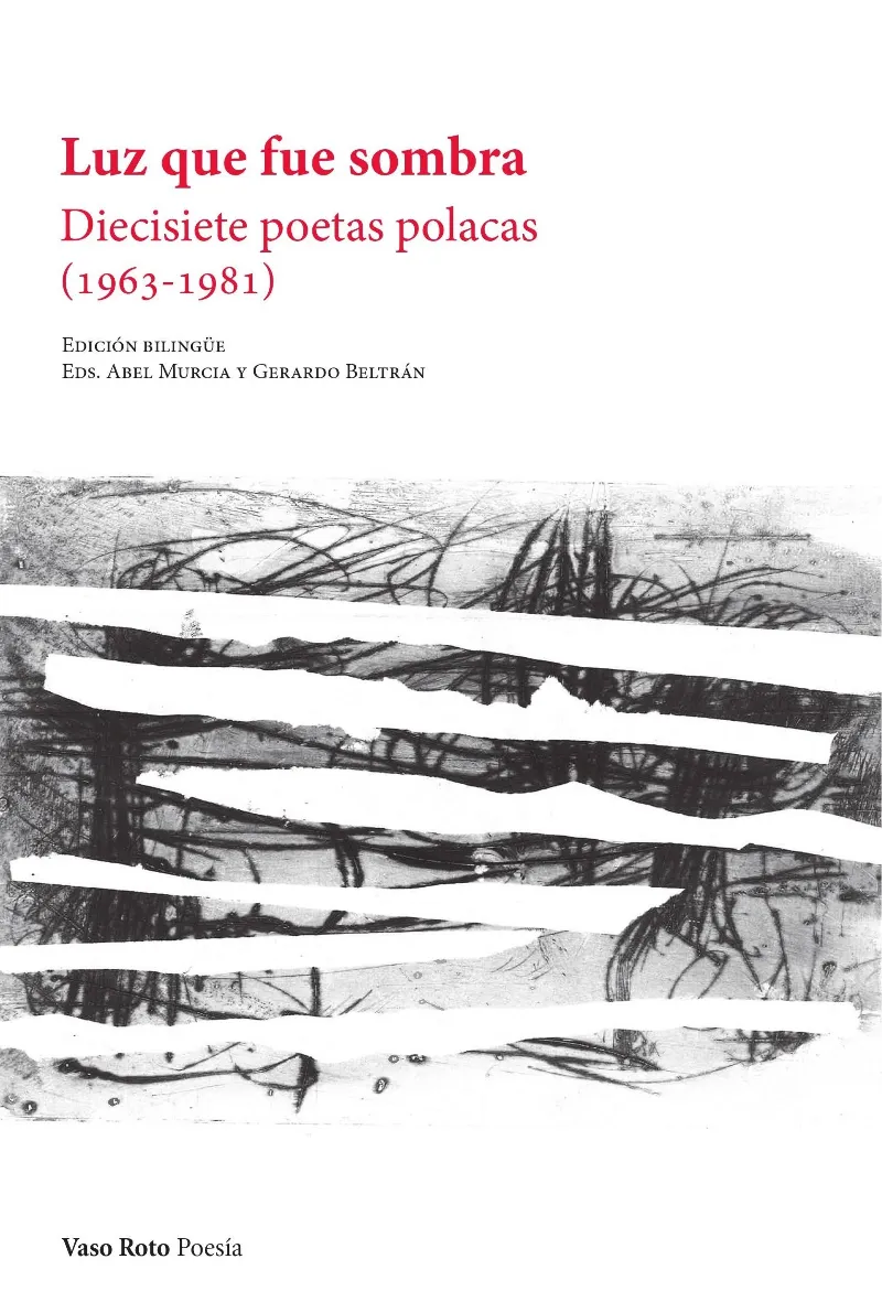 LUZ QUE FUE SOMBRA - DIECISEITE POETAS POLACAS 1963-1981 - EDICION BILINGUE