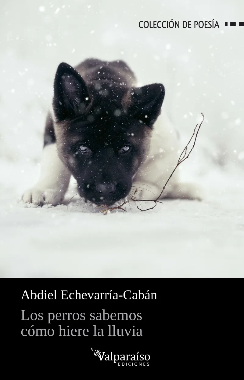 PERROS SABEMOS COMO HIERE LA LLUVIA, LOS