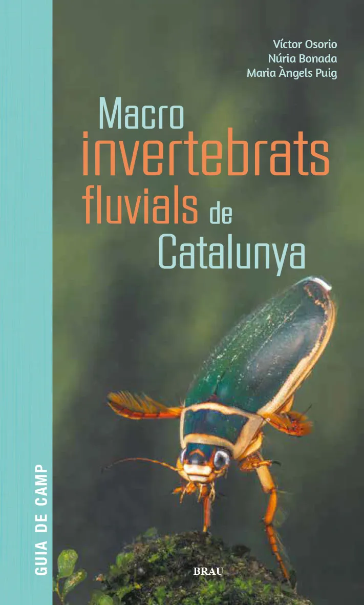 MACRO INVERTEBRATS FLUVIALS DE CATALUNYA