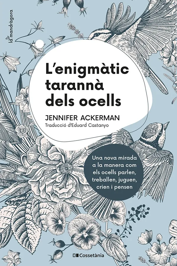 ENIGMATIC TARANNA DELS OCELLS, L '