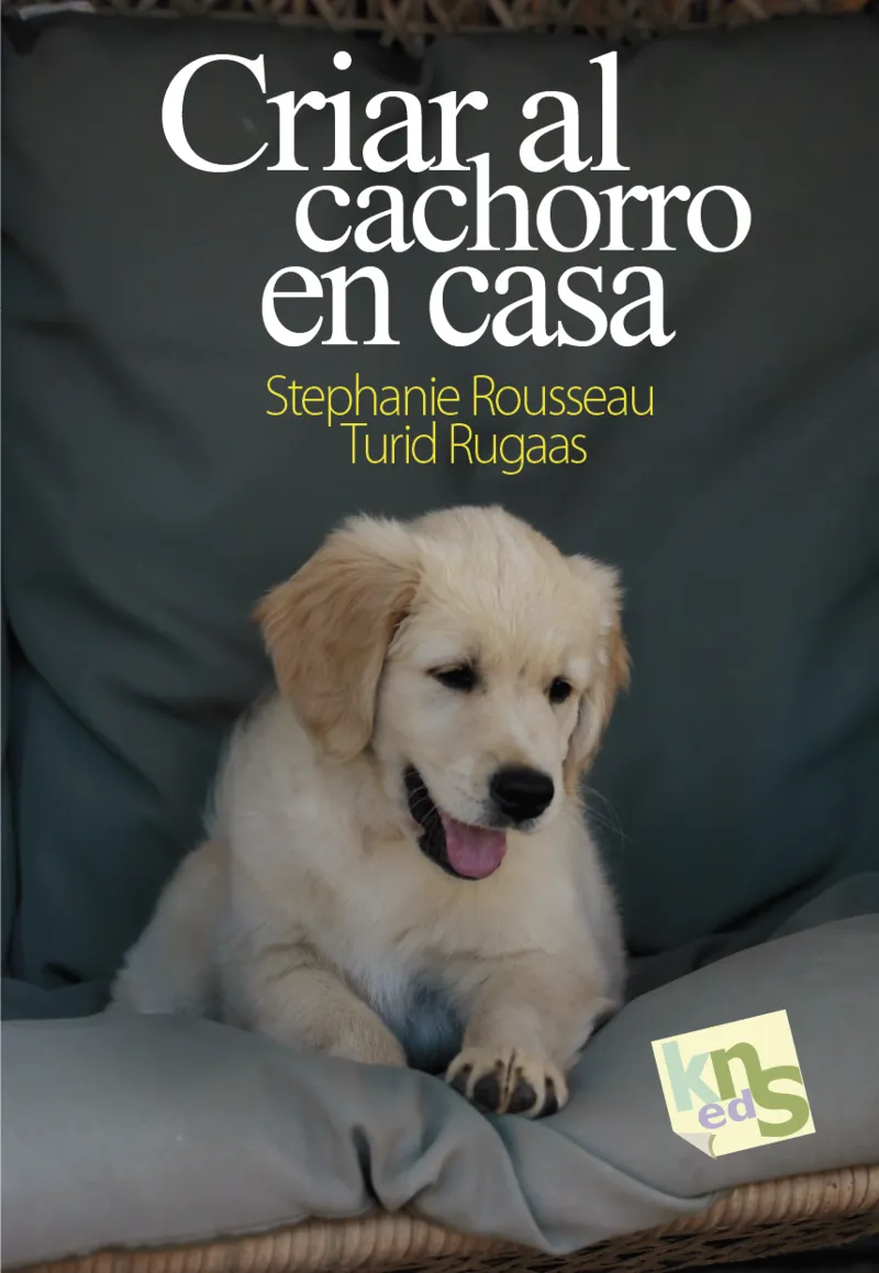 CRIAR AL CACHORRO EN CASA