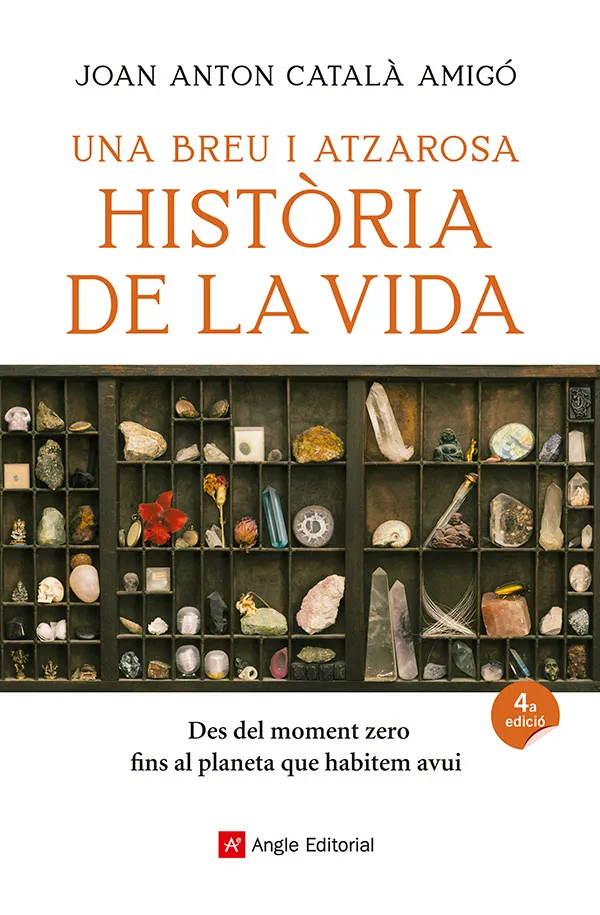BREU I ATZAROSA HISTORIA DE LA VIDA, UNA