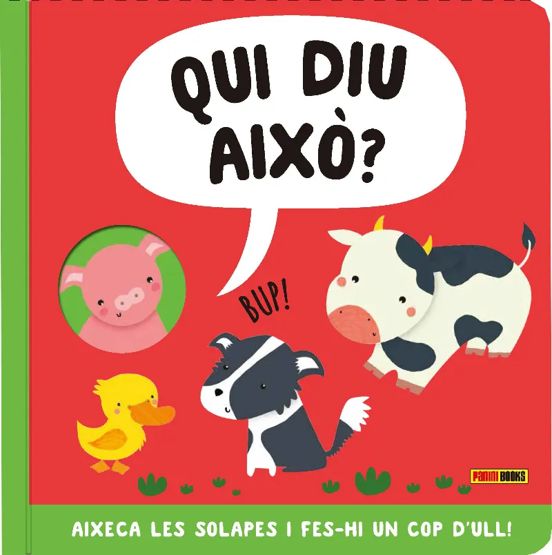 QUI DIU AIXO -AMB SOLAPES-