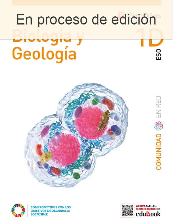 BIOLOGIA GEOLOGIA 1ESO DIVERS EN RED