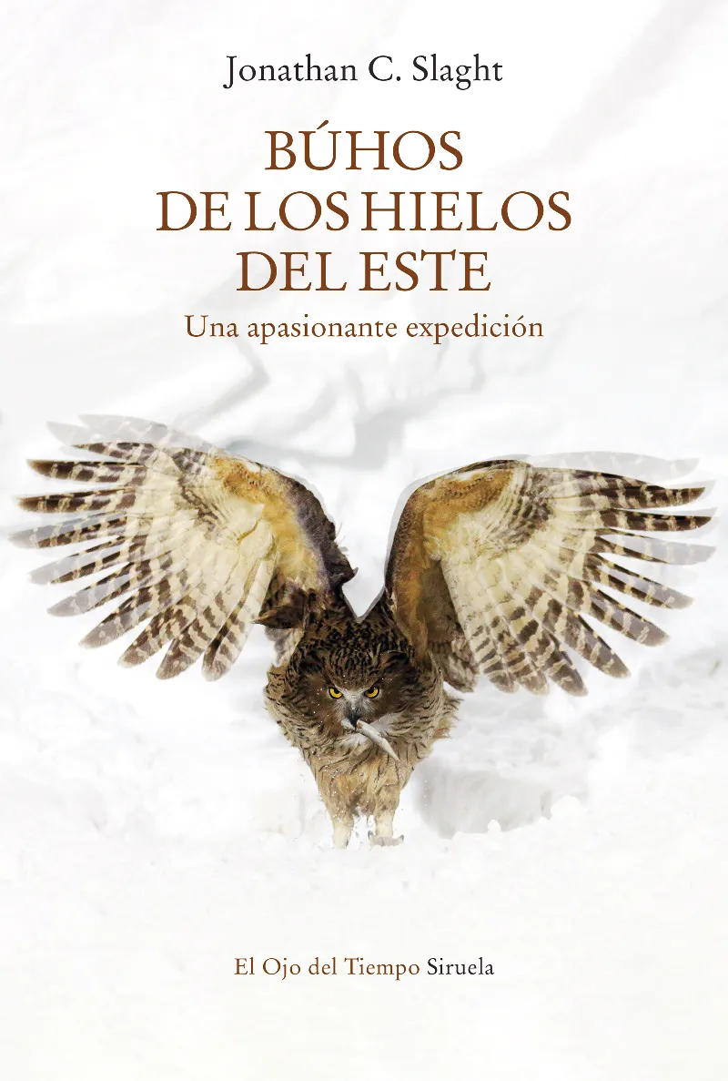BUHO DE LOS HIELOS DEL ESTE