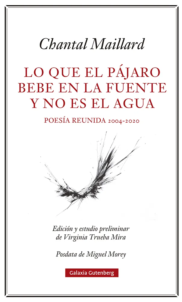 QUE LE PAJARO BEBE EN LA FUENTE Y NO ES EL AGUA, LO