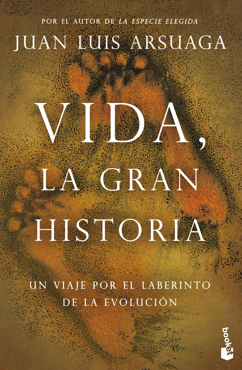 VIDA LA GRAN HISTORIA -BOLSILLO-