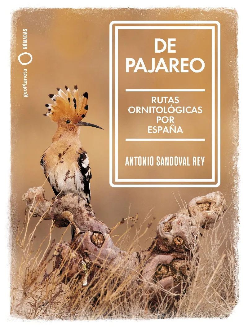 DE PAJAREO -RUTAS ORNITOLOGICAS POR ESPAÑA-
