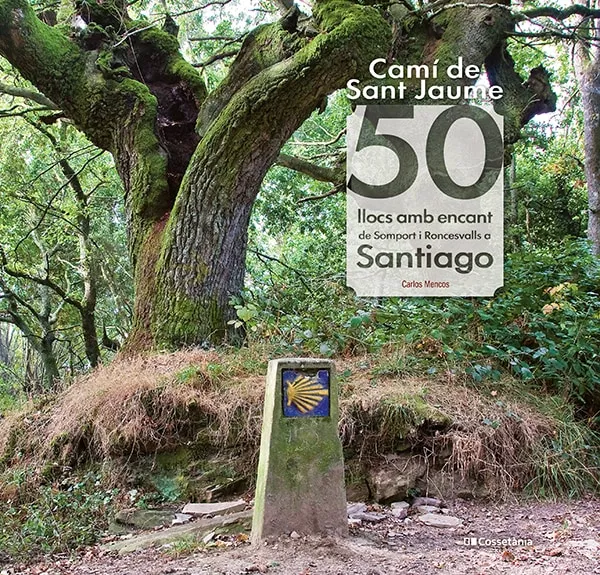 CAMI DE SANT JAUME 50 LLOCS AMB ENCANT DE SOMPORT I RONCESVALLS A SANTIAGO