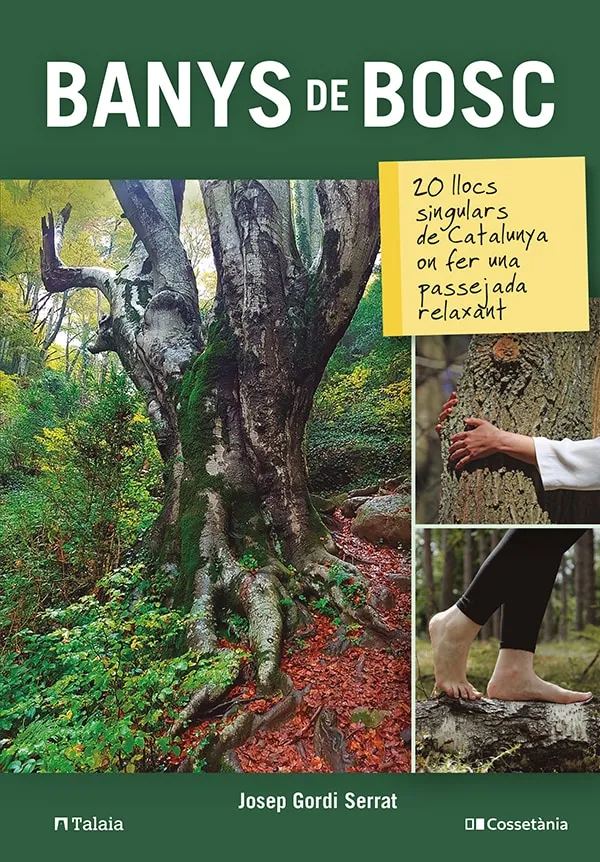BANYS DE BOSC