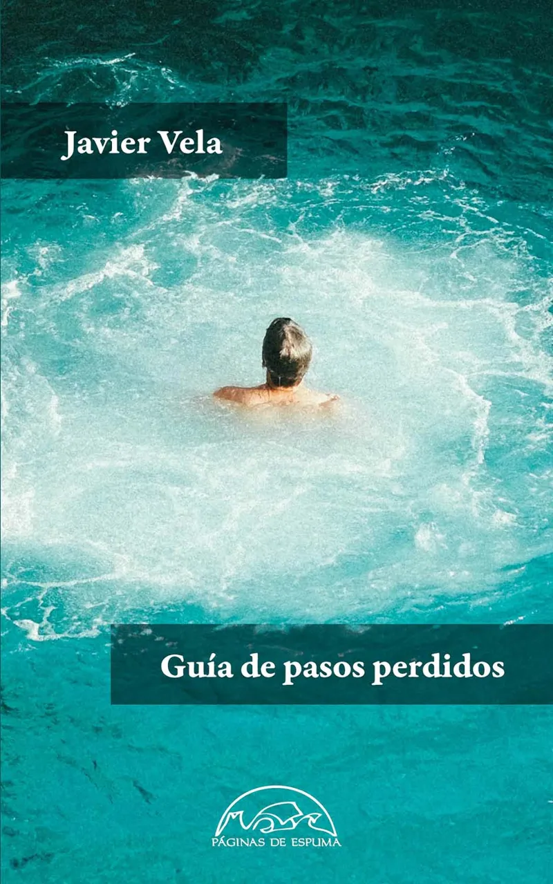 GUIA DE PASOS PEDIDOS