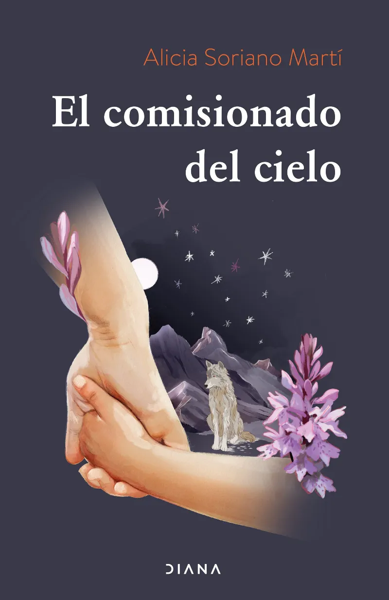 COMISIONADO DEL CIELO