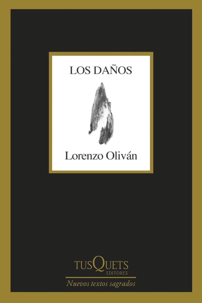 DAÑOS, LOS