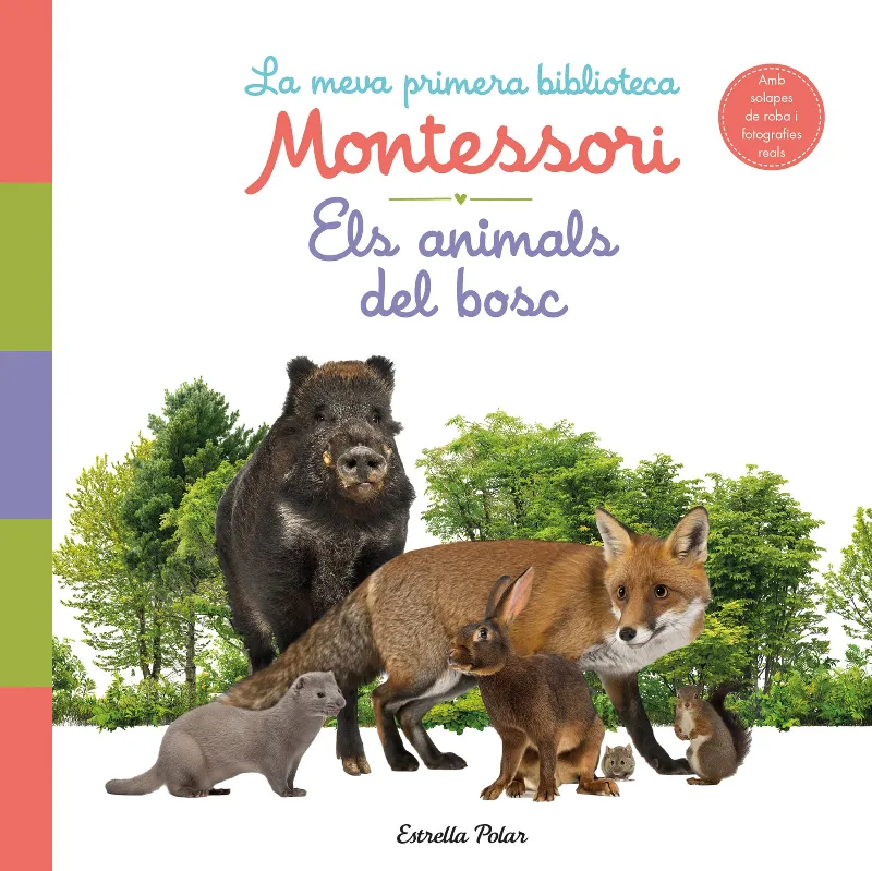 ANIMALS DEL BOSC, ELS -AMB SOLAPES-