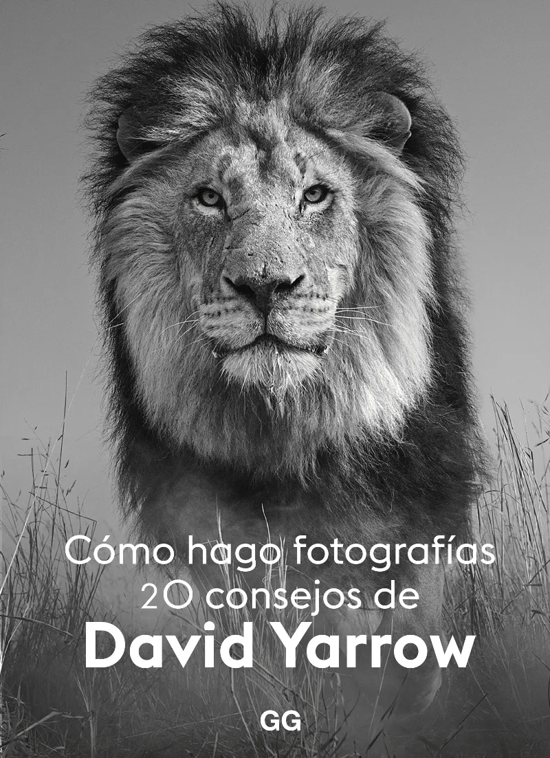 COMO HAGO FOTOGRAFIAS -20 CONSEJOS-