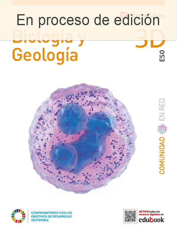 BIOLOGIA GEOLOGIA 3ESO DIVERS EN RED