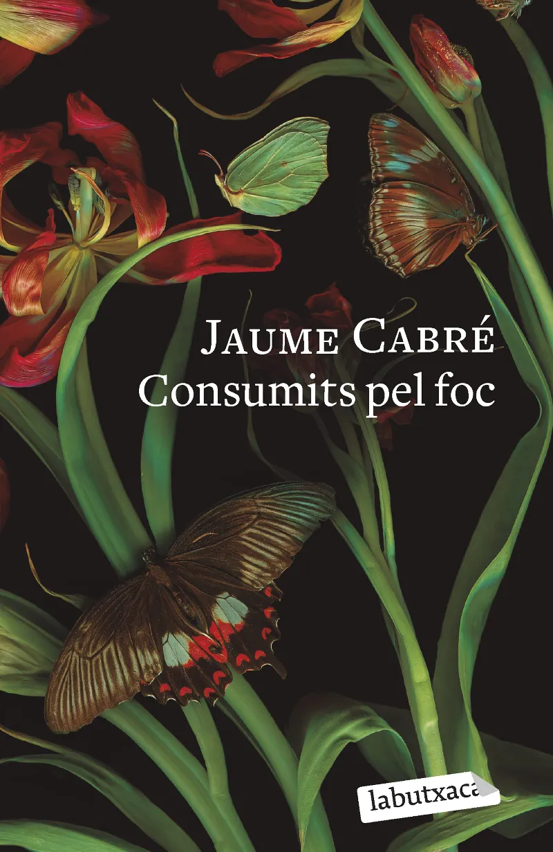 CONSUMITS PEL FOC -BUTXACA-