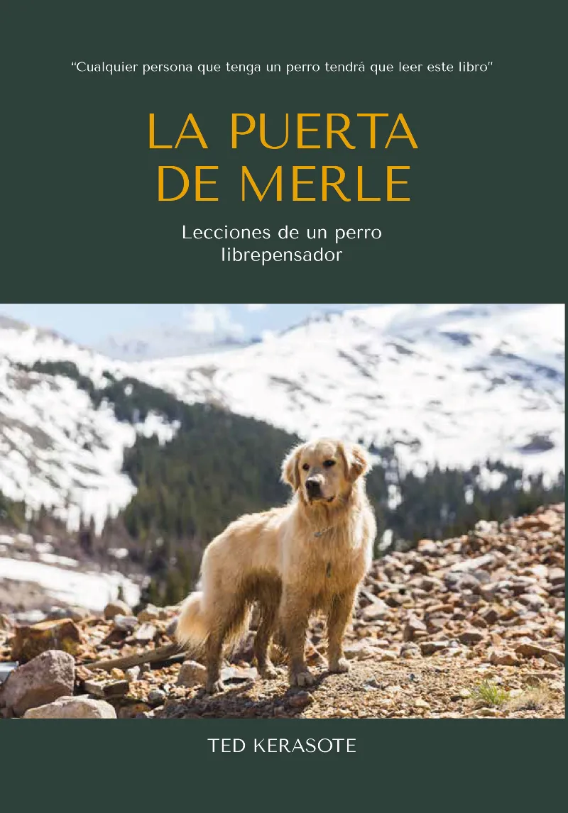 PUERTA DE MERLE,LA