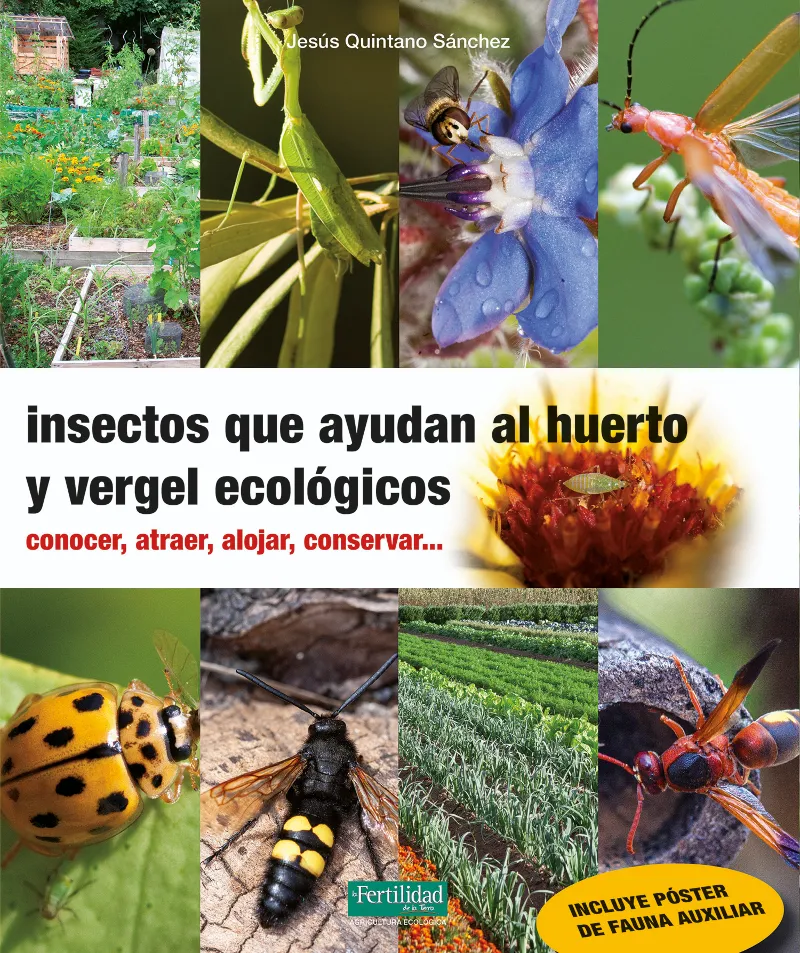 INSECTOS QUE AYUDAN AL HUERTO Y VERGEL ECOLOGICOS