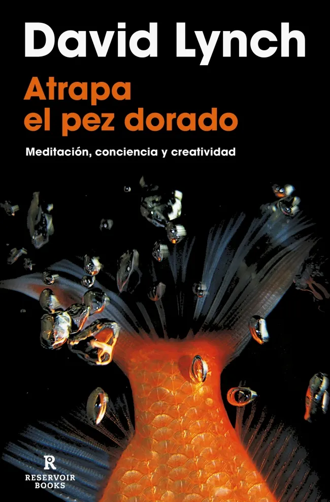ATRAPA EL PEZ DORADO (NUEVA EDICIÓN AMPLIADA 2022)