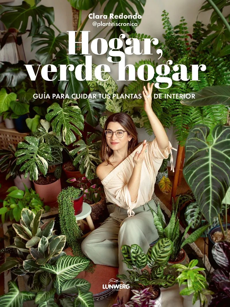 HOGAR,VERDE HOGAR