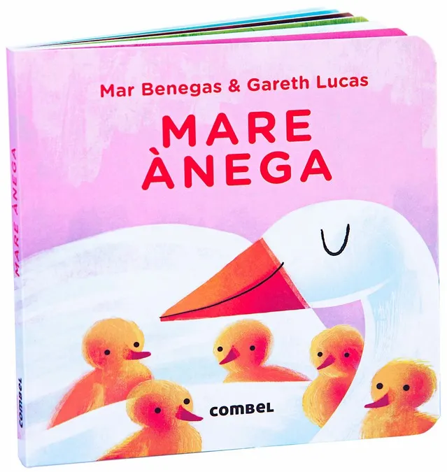 MARE ANEGA -CATRO-