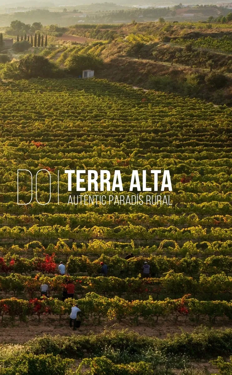 DO TERRA ALTA