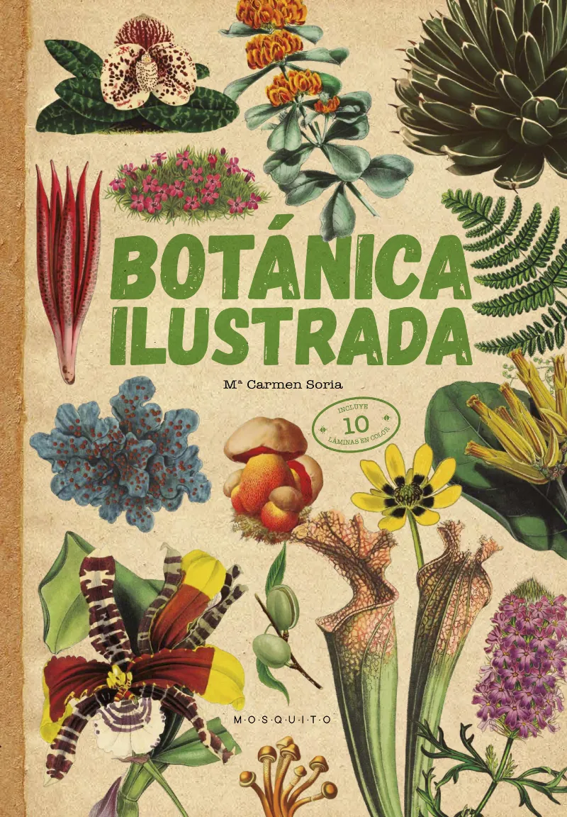 BOTANICA ILUSTRADA