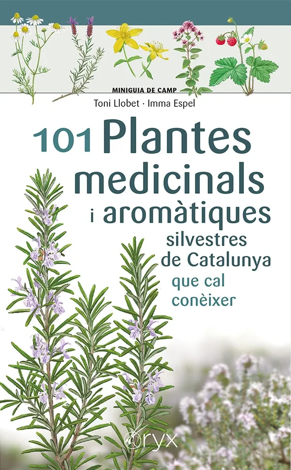 101 PLANTES MEDICINALS I AROMATIQUES DE CATALUNYA QUE CAL CONEIXER