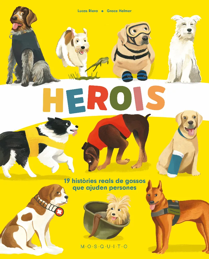 HEROIS -19 HISTORIES REALS DE GOSSOS QUE AJUDEN PERSONES-