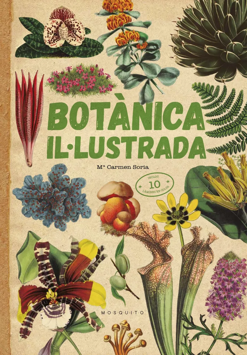 BOTANICA IL.LUSTRADA