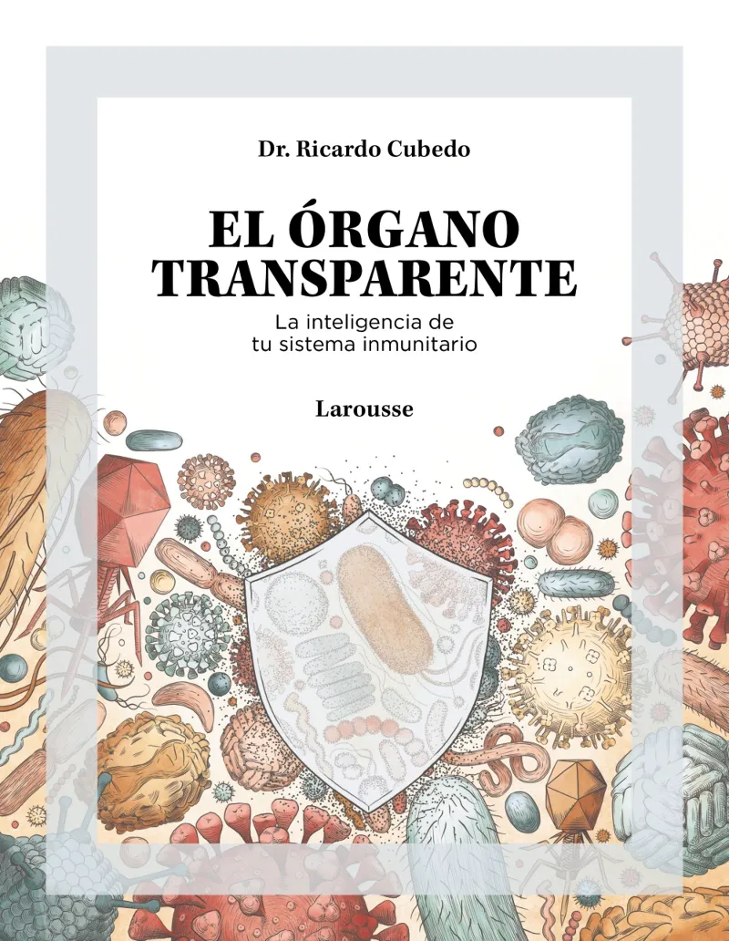 ORGANO TRANSPARENTE, EL
