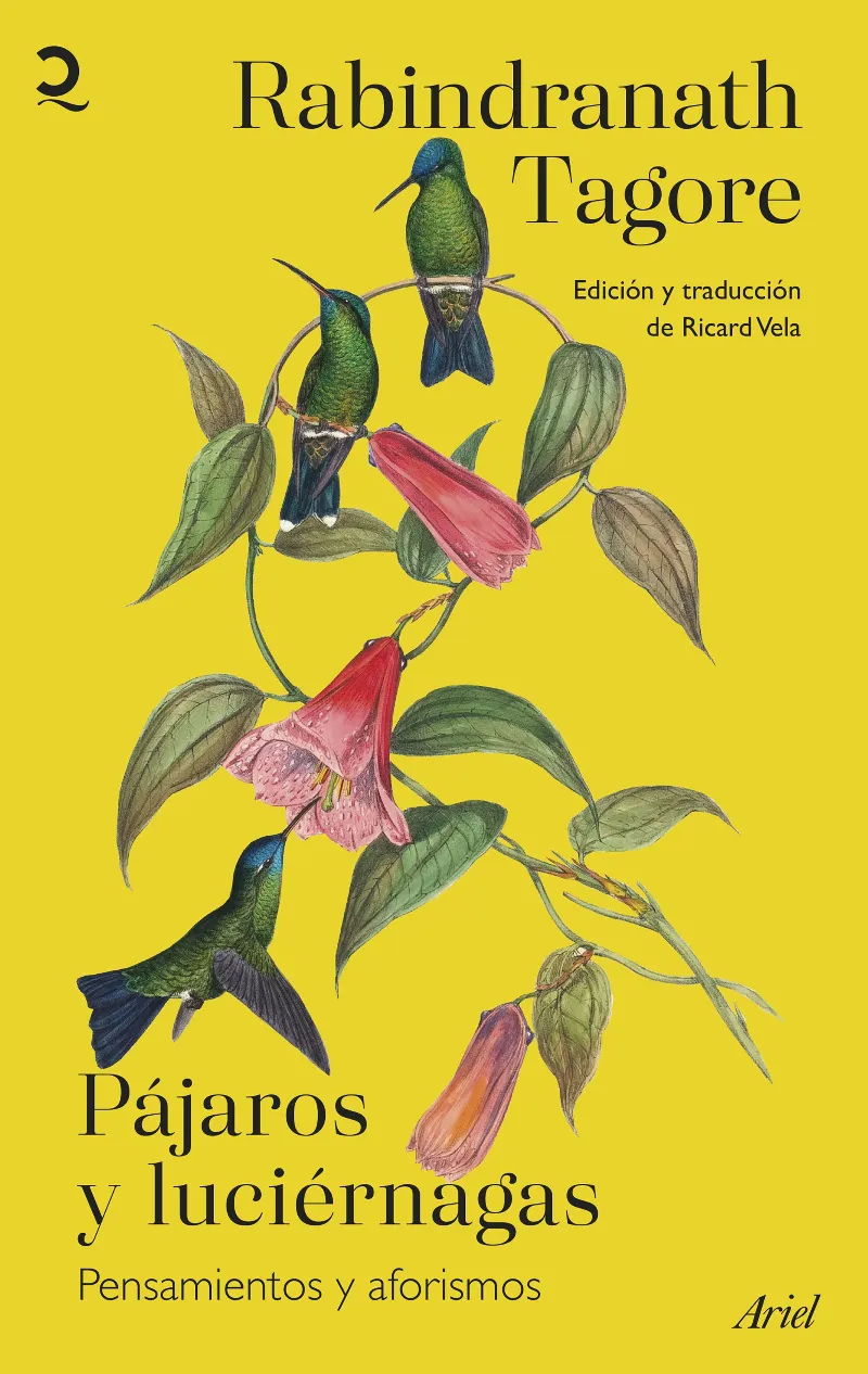 PAJAROS Y LUCIERNAGAS - PENSAMIENTOS Y AFORISMOS -