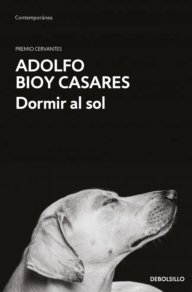 DORMIR AL SOL -BOLSILLO - -PREMIO CERVANTES-