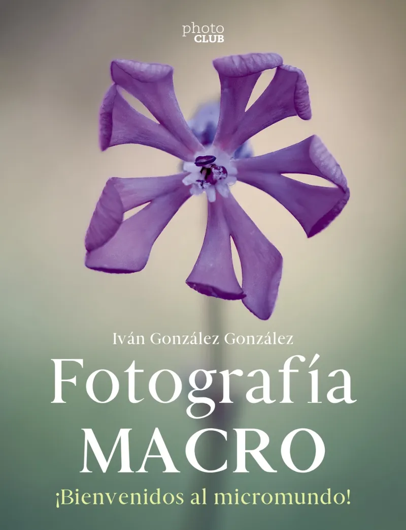FOTOGRAFIA MACRO