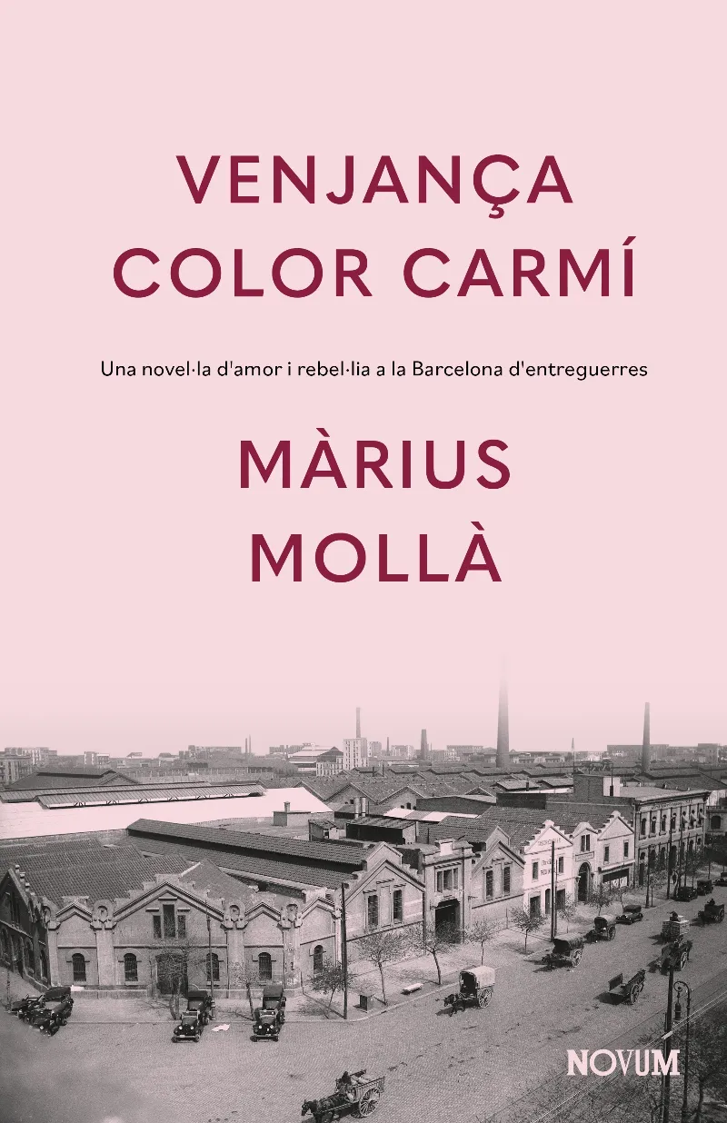 VENJANÇA COLOR CARMI