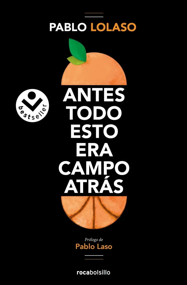 ANTES TODO ESTO ERA CAMPO ATRAS -BOLSILLO-