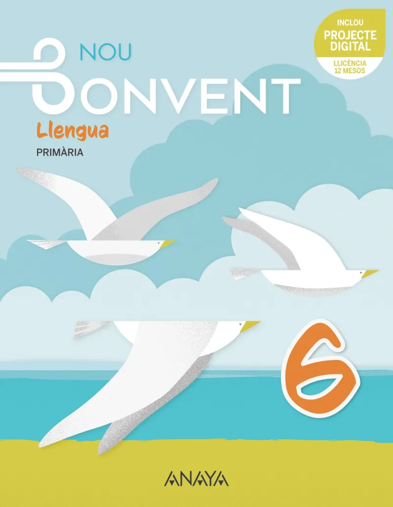 LLENGUA 6.