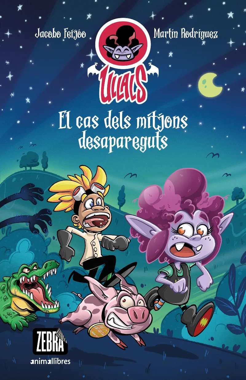 ULLALS 2. EL CAS DELS MITJONS DESAPAREGU