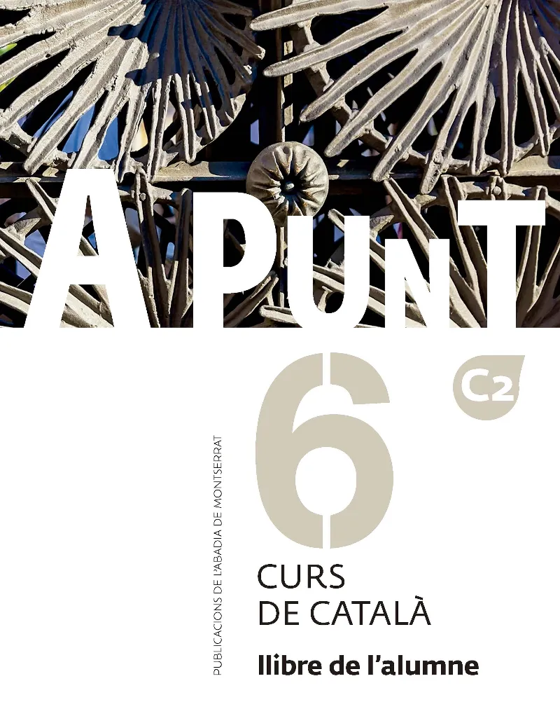 A PUNT-6(CURS DE CATALÀ.LLIBRE DE L'ALUMNE C/2)