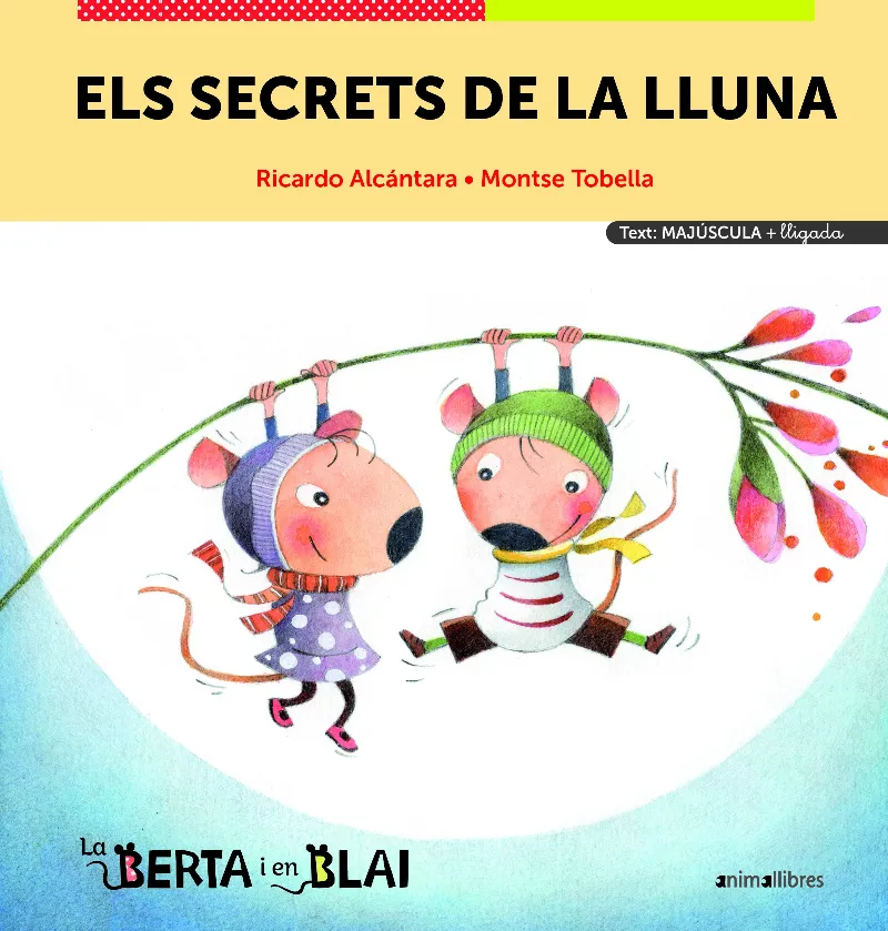 SECRETS DE LA LLUNA,ELS