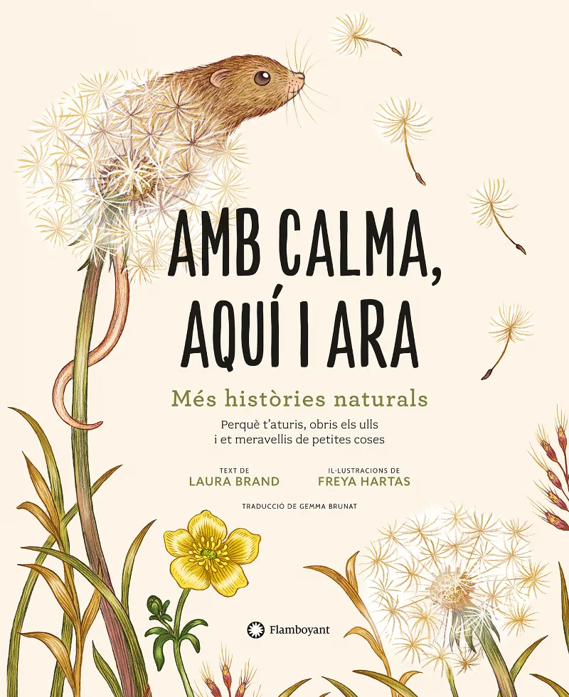 AMB CALMA AQUI I ARA