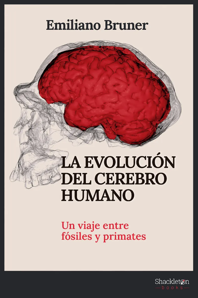 EVOLUCION DEL CEREBRO,LA