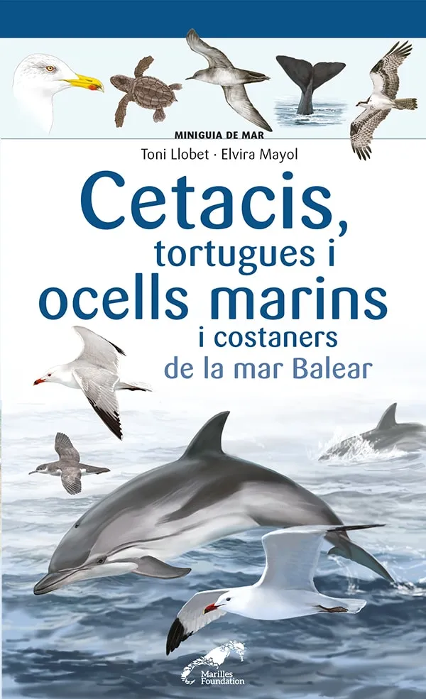 CETACIS,TORTUGUES I OCELLS MARINS I COSTANERS DE LA MAR BALEAR