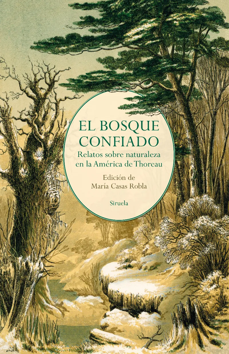 BOSQUE CONFIADO